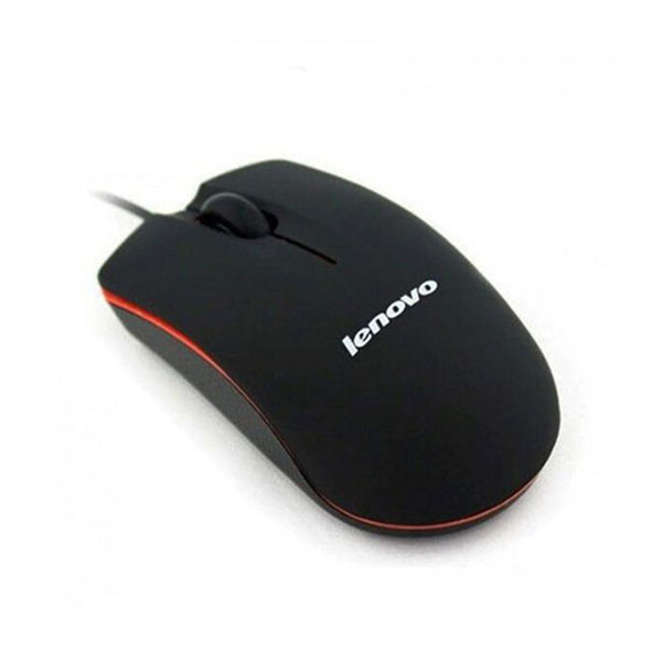 mouse